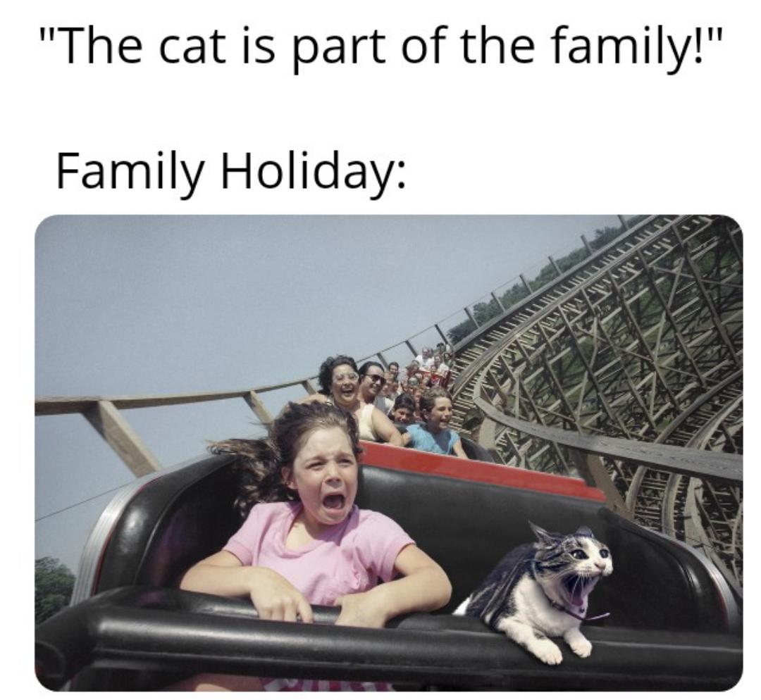 funny memes and pics - cat is part of the family - "The cat is part of the family!" Family Holiday Aircle