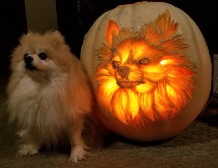 people with impressive talents - dog pumpkin carving