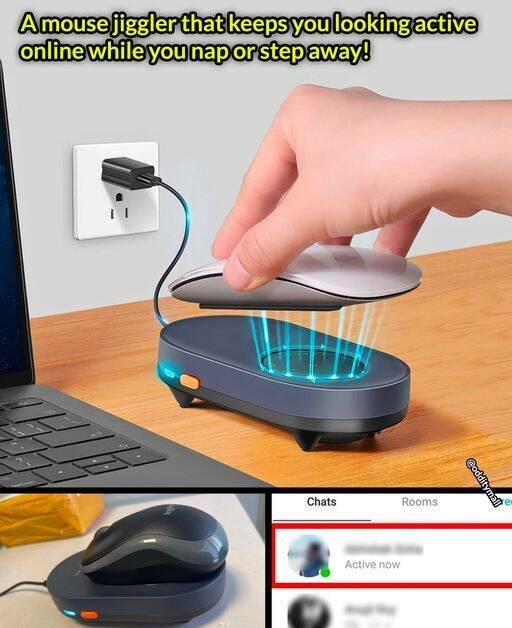 cool random pics for your daily dose - mouse jiggler - Amouse jiggler that keeps you looking active online while you nap or step away! Chats Active now Rooms 8