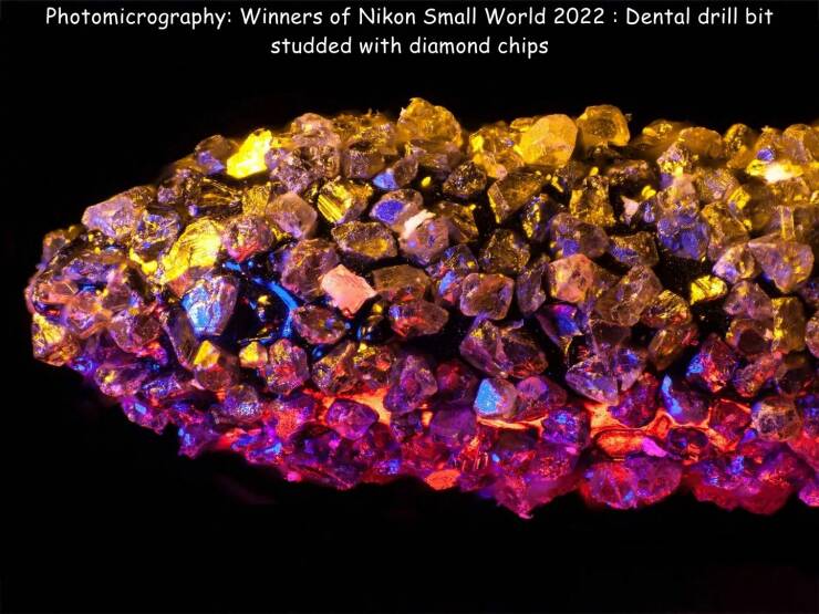 cool random pics for your daily dose - crystal - Photomicrography Winners of Nikon Small World 2022 Dental drill bit studded with diamond chips