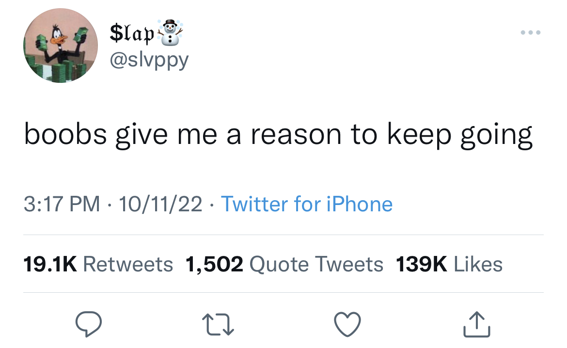 Savage Tweets - staying home twitter quotes - $lap boobs give me a reason to keep going 101122 Twitter for iPhone 1,502 Quote Tweets 27