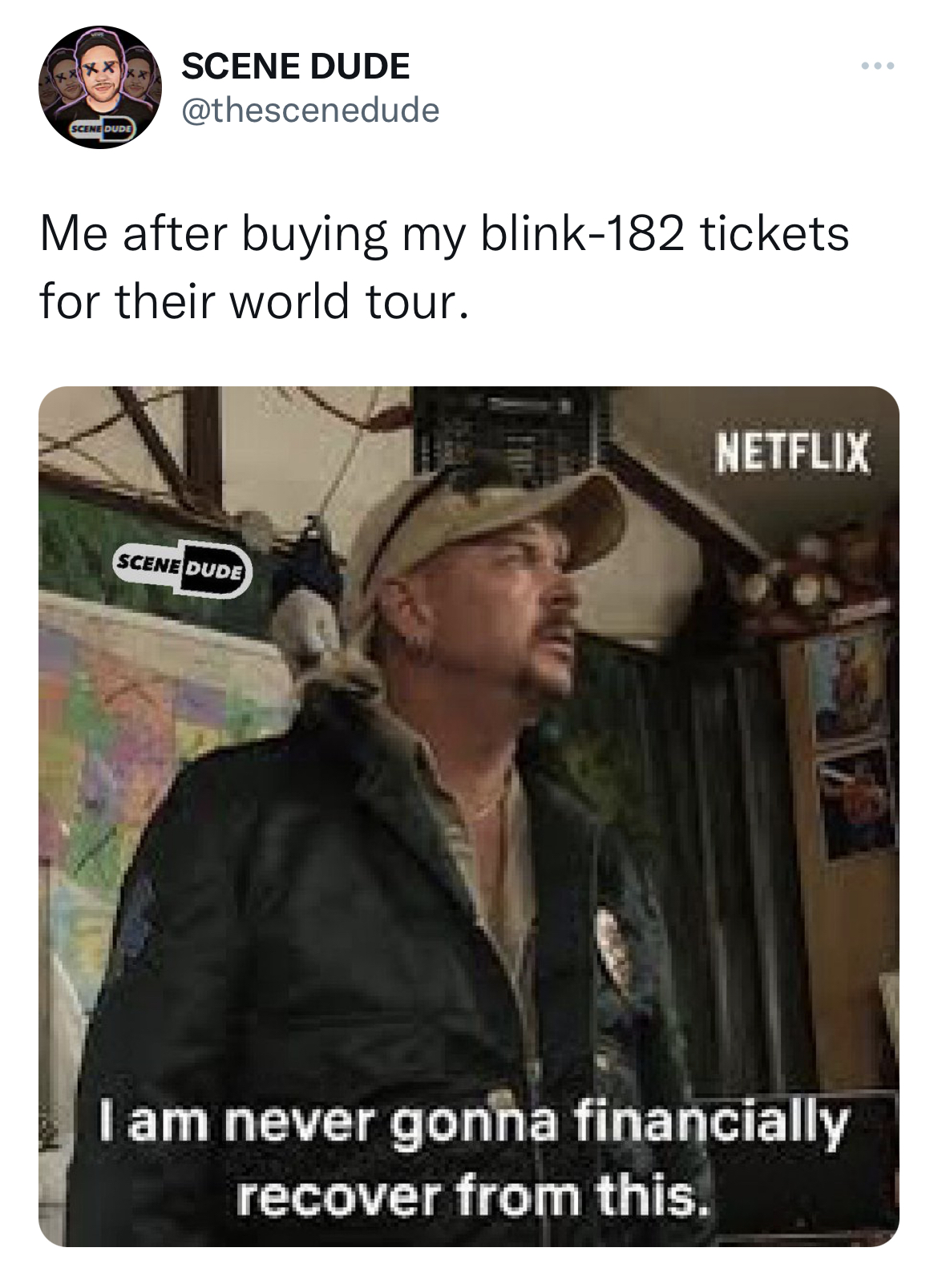 Savage Tweets - photo caption - cene Dude Me after buying my blink182 tickets for their world tour. Scene Dude Netflix I am never gonna financially recover from this.