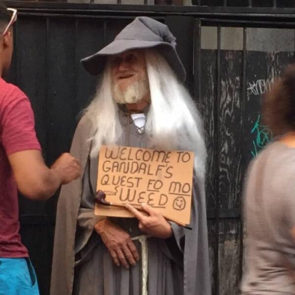 daily dose of randoms -  lord of the weed - Welcome To Gandalf'S Quest Fo Mo Weed saka