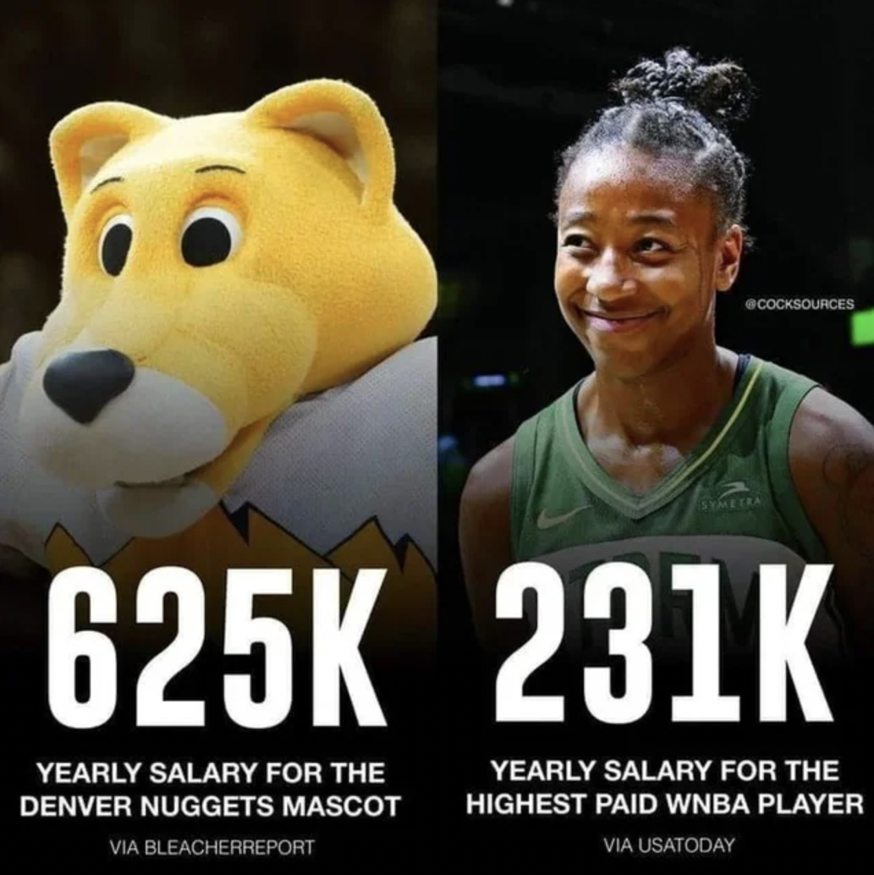 photo caption - Yearly Salary For The Denver Nuggets Mascot Via Bleacherreport Yearly Salary For The Highest Paid Wnba Player Via Usatoday