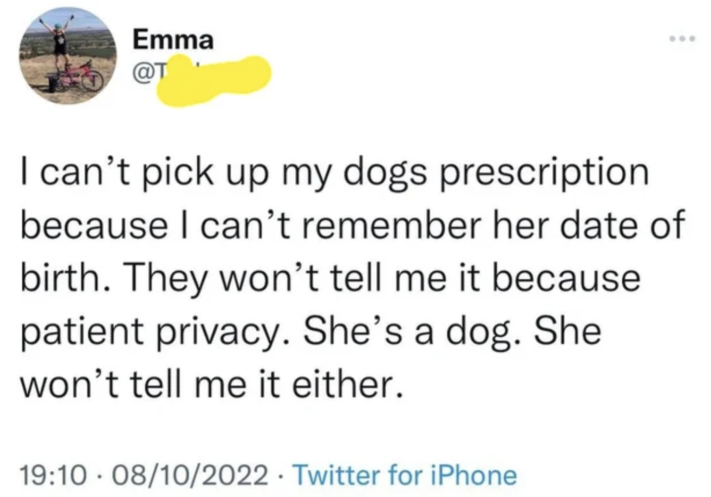 I can't pick up my dogs prescription because I can't remember her date of birth. They won't tell me it because patient privacy. She's a dog. She won't tell me it either