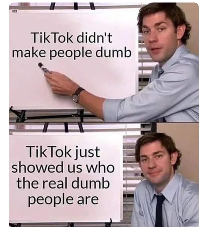 daily dose of pics and memes - communication - TikTok didn't make people dumb Tik Tok just showed us who the real dumb people are