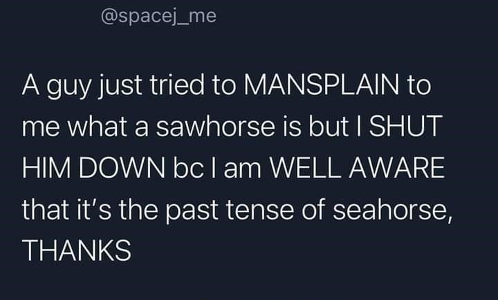 daily dose of pics and memes - sky - A guy just tried to Mansplain to me what a sawhorse is but I Shut Him Down bc I am Well Aware that it's the past tense of seahorse, Thanks