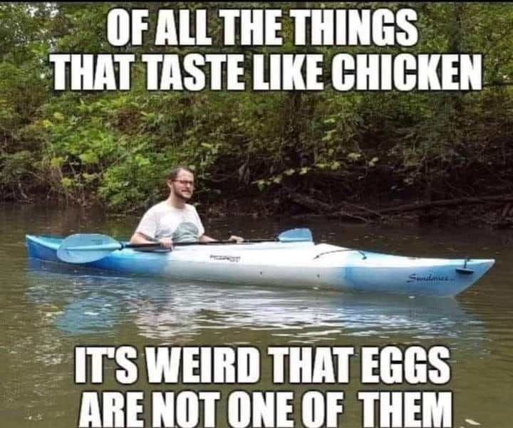 monday morning randomness - funny kayacking gif - Of All The Things That Taste Chicken ndance... It'S Weird That Eggs Are Not One Of Them