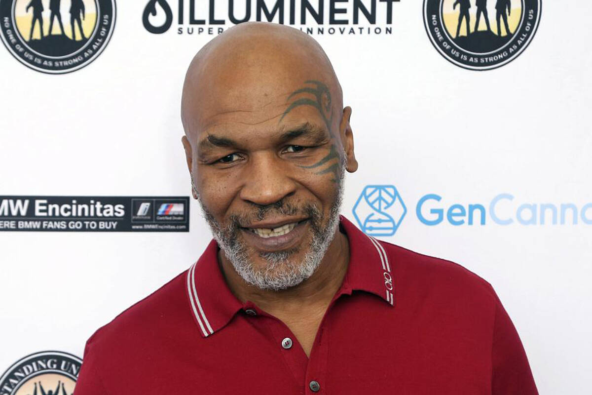 Most despised celebrities - mike tyson - Gan Of Us Is As Strong Mw Encinitas Ere Bmw Fans Go To Buy W Vandin Oilluminent Innovation 002 Zan Of Us Is A L Of Us O Strong Ong As All GenCanno