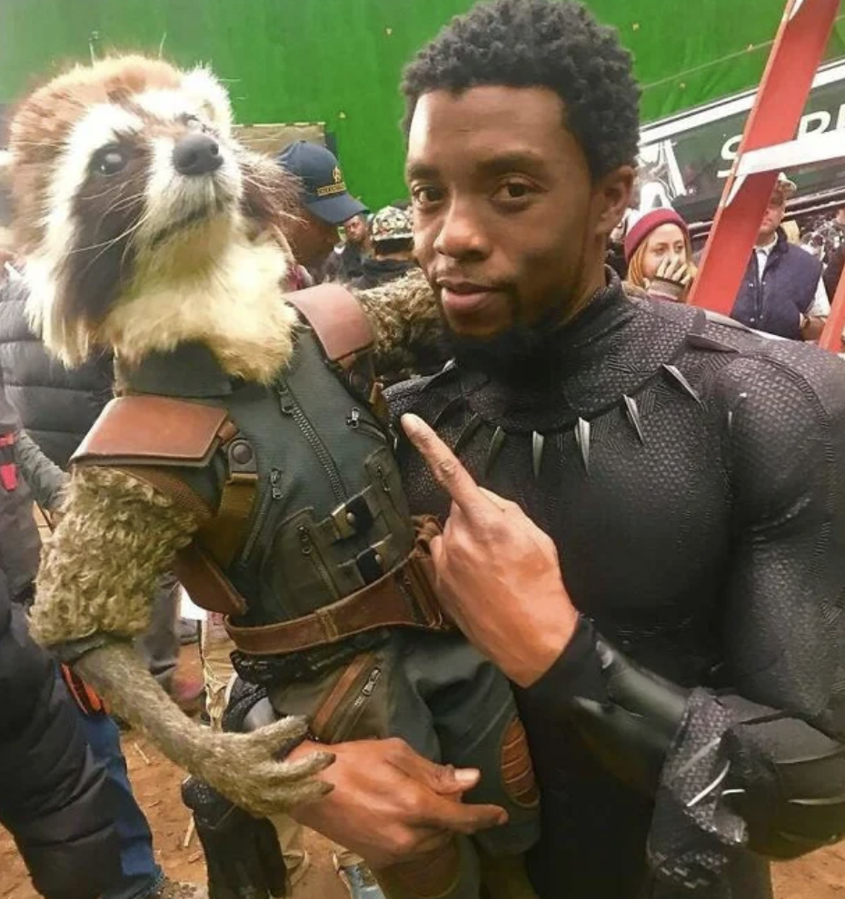 Bradley Cooper - I mean Rocket - hanging out with the late, great Chadwick Boseman on the set of 'Avengers: Endgame.'