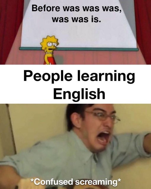 daily dose of randoms - people learning english meme - Before was was was, was was is. People learning English Confused screaming