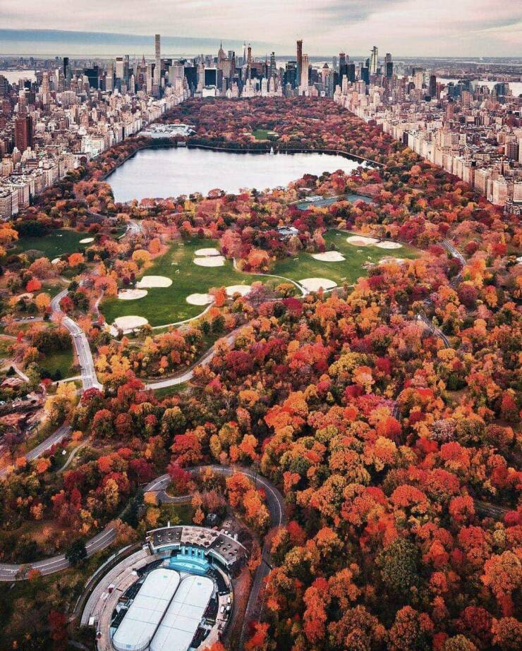 daily dose of randoms - new york central park autumn