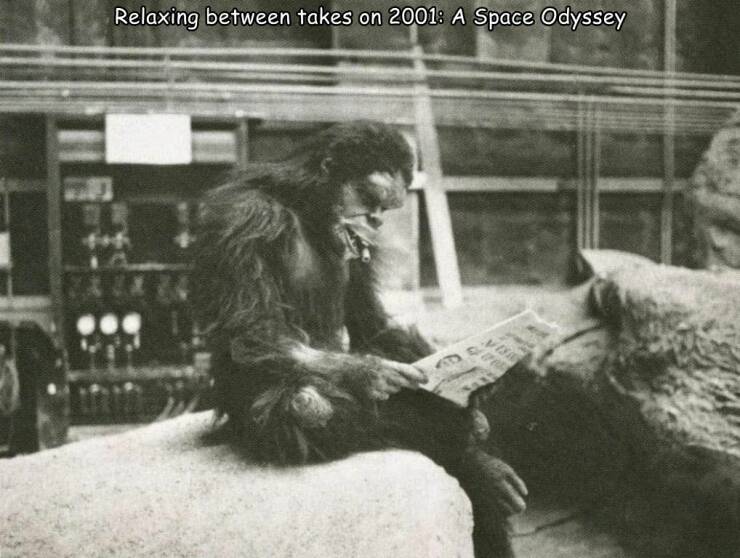 daily dose of randoms - 2001 a space odyssey ape actors - Relaxing between takes on 2001 A Space Odyssey 9 Vis