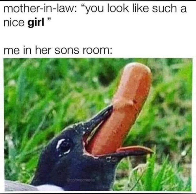 spicy sex memes - tinder bird - motherinlaw "you look such a nice girl" me in her sons room solongcharlie