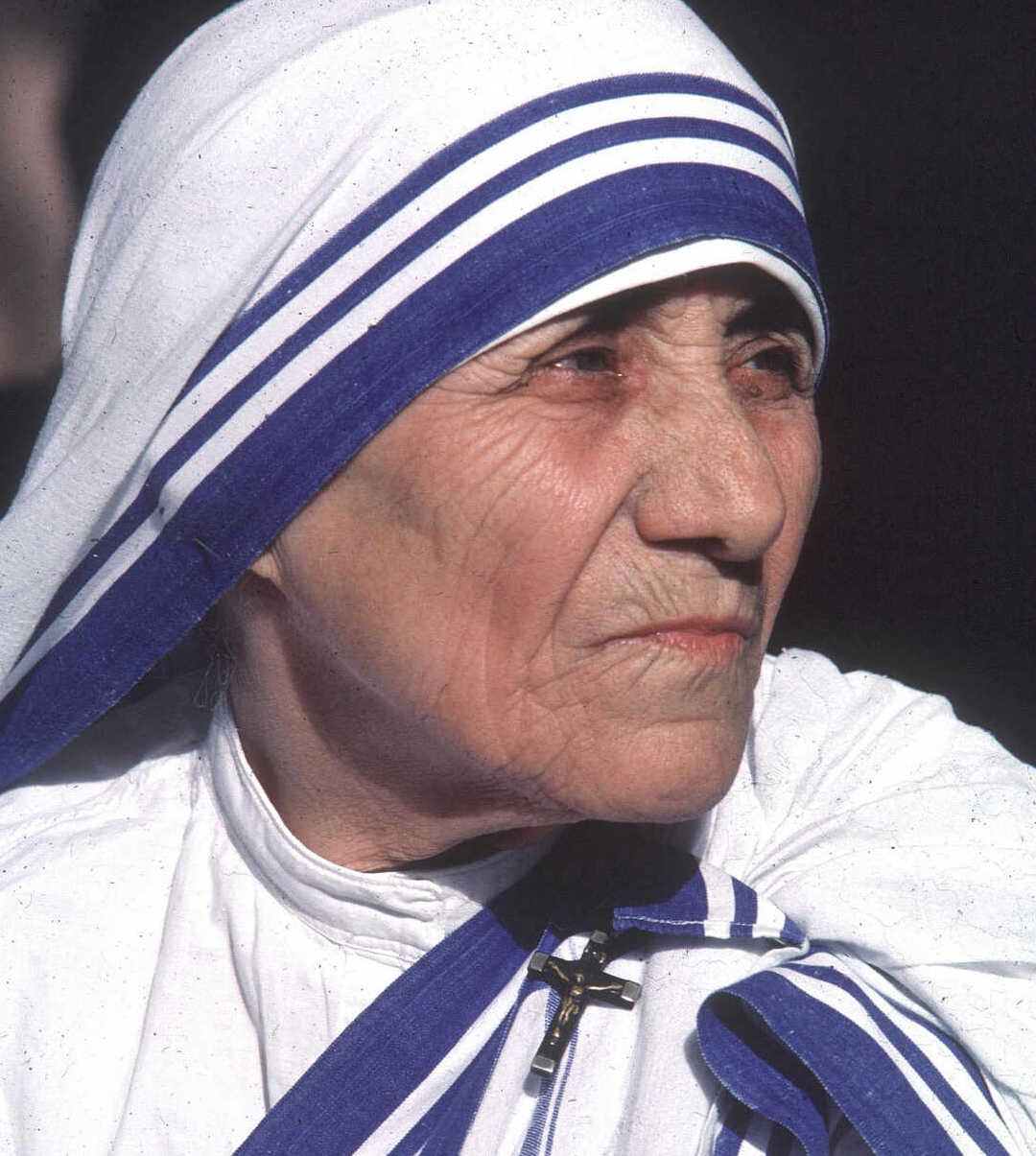 Praised people who actually awful - mother teresa