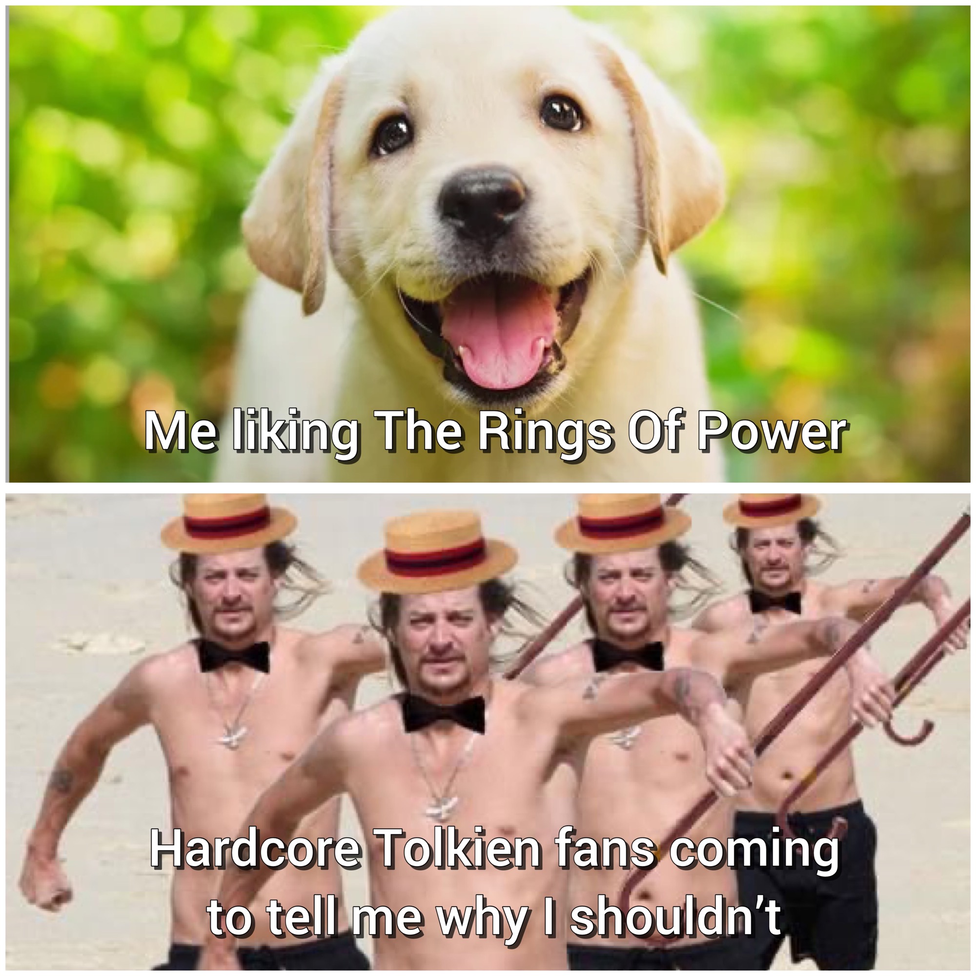 daily dose of pics and memes - labrador puppy dogs - Me liking The Rings Of Power Hardcore Tolkien fans coming to tell me why I shouldn't