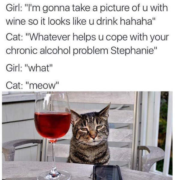 relatable memes - Funny meme - Girl "I'm gonna take a picture of u with wine so it looks u drink hahaha" Cat "Whatever helps u cope with your chronic alcohol problem Stephanie" Girl "what" Cat "meow"