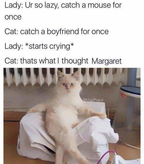 relatable memes - cat thats what i thought - Lady Ur so lazy, catch a mouse for once Cat catch a boyfriend for once Lady starts crying Cat thats what I thought Margaret