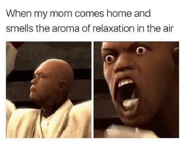 relatable memes - photo caption - When my mom comes home and smells the aroma of relaxation in the air