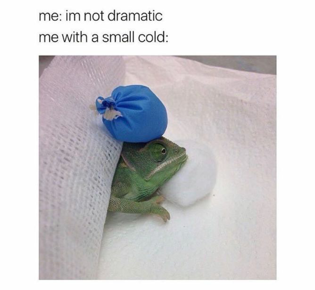 relatable memes - also me meme - me im not dramatic me with a small cold
