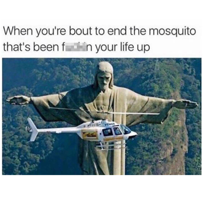 relatable memes - 9/11 memorial - When you're bout to end the mosquito that's been fin your life up