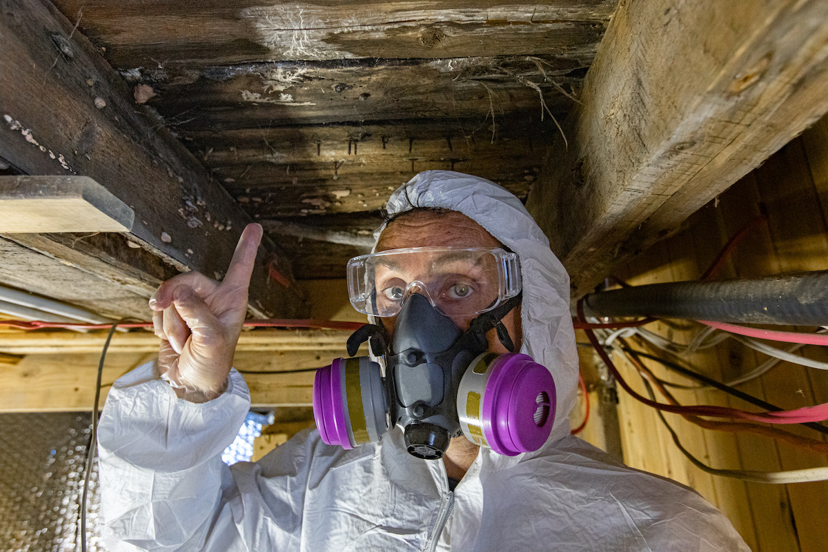 most disgusting workplace stories - mold remediation workers