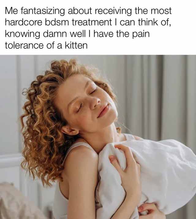 spicy sex memes - Duvet - Me fantasizing about receiving the most hardcore bdsm treatment I can think of, knowing damn well I have the pain tolerance of a kitten