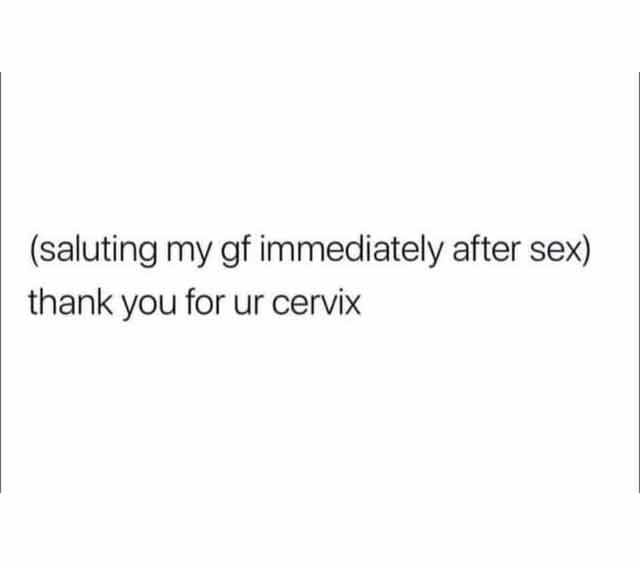 spicy sex memes - funny - saluting my gf immediately after sex thank you for ur cervix
