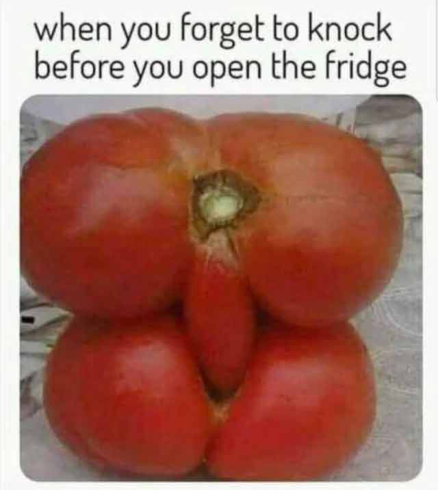 spicy sex memes - you forget to knock before you open - when you forget to knock before you open the fridge