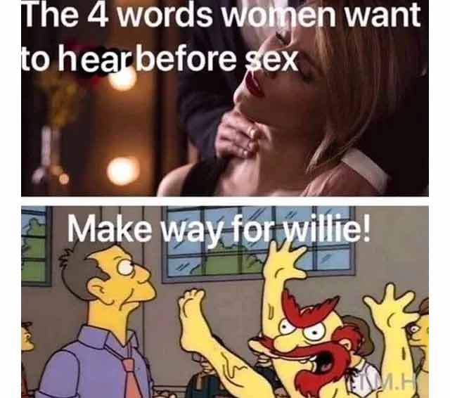 spicy sex memes - make way for willie meme - The 4 words women want to hear before sex Make way for willie! C Heim.H