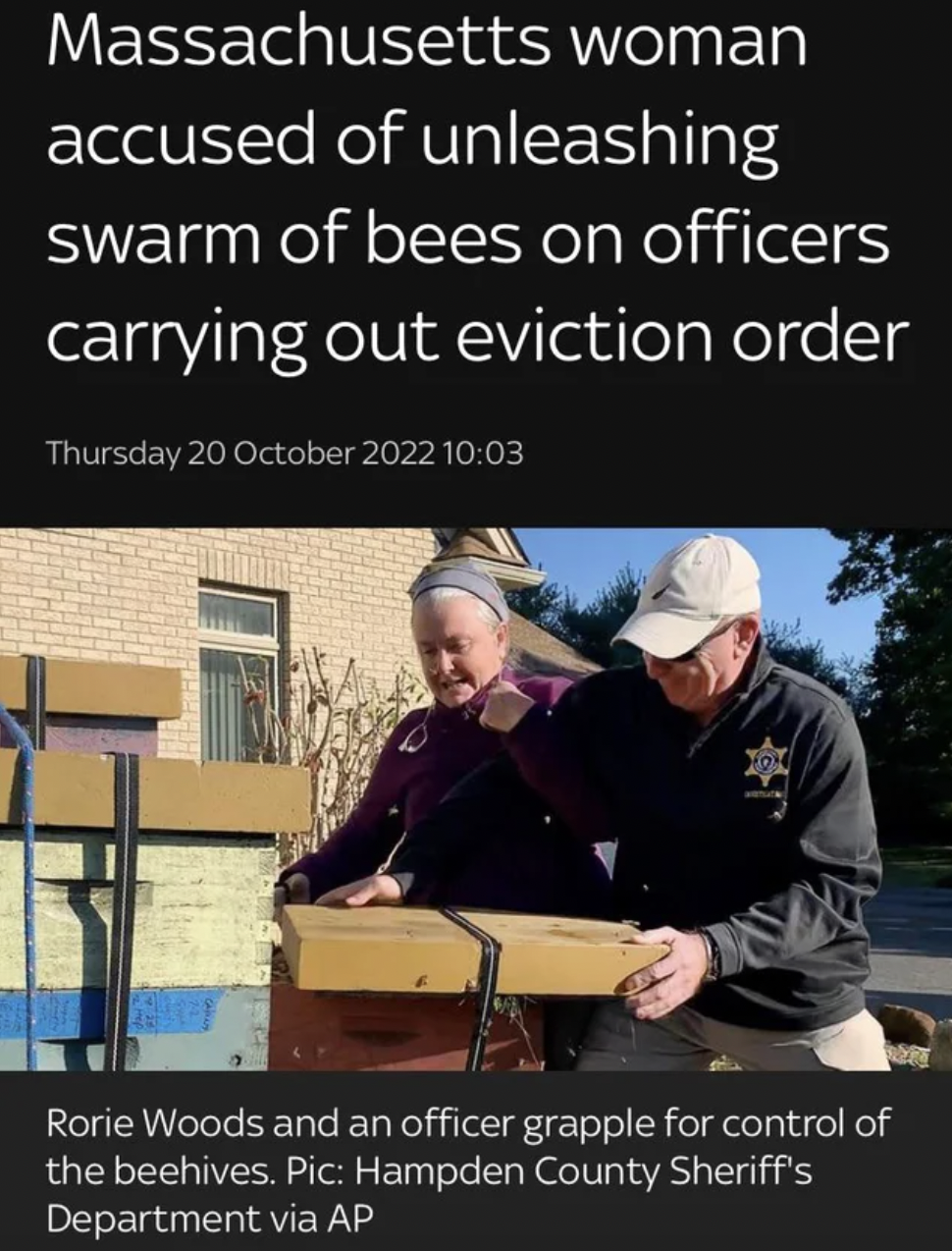 Funny Facepalms and Fails - Bees - Massachusetts woman accused of unleashing swarm of bees on officers carrying out eviction order Thursday Rorie Woods and an officer grapple for control of the beehives. Pic Hampden County Sheriff's Department via Ap