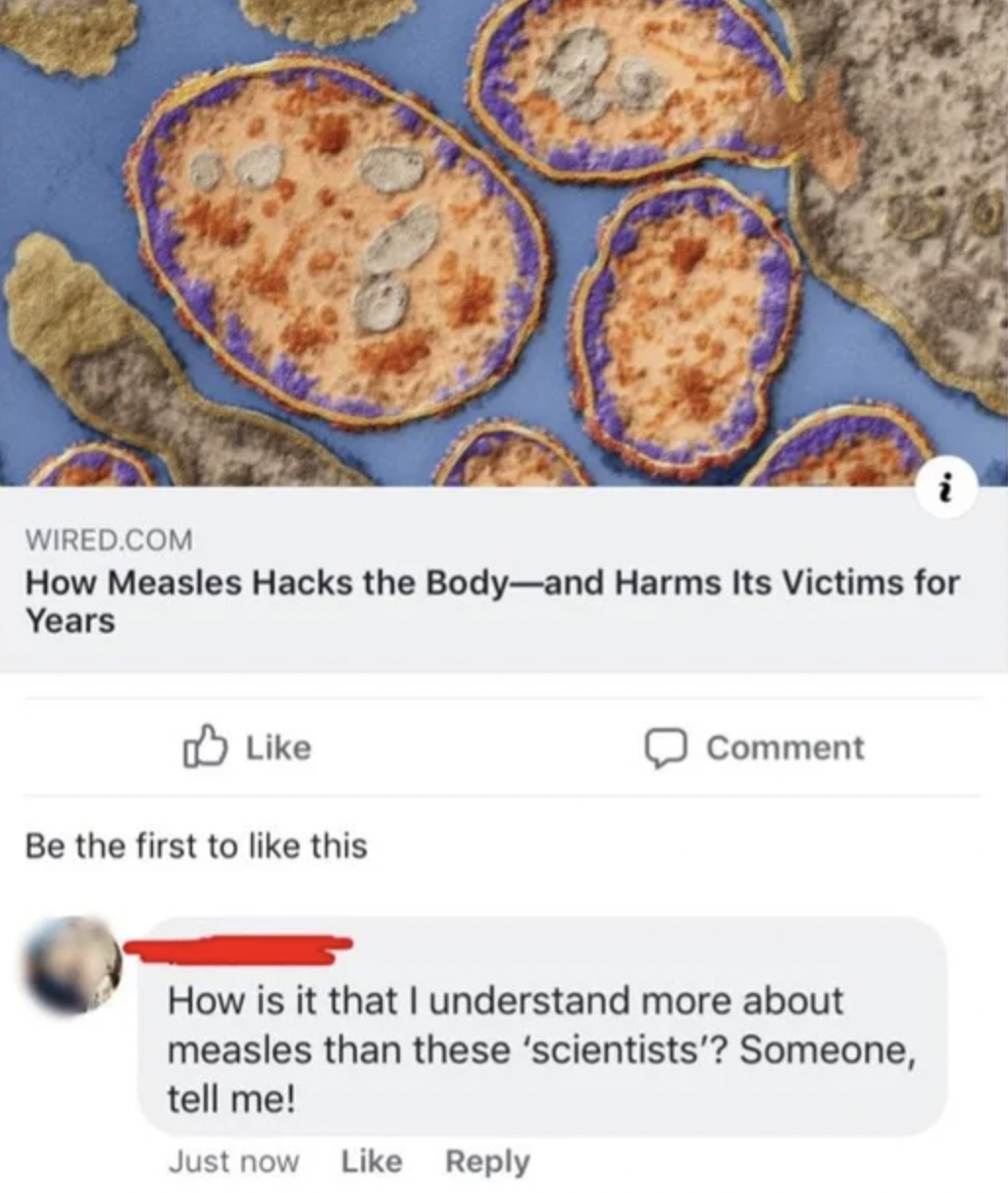 Crazy People of Facebook - How Measles Hacks the Bodyand Harms Its Victims for Years Be the first to this Comment How is it that I understand more about measles than these 'scientists'? Someone, tell me! Just now