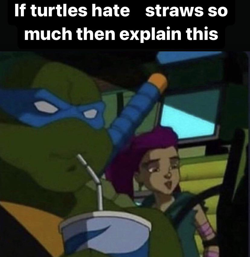 monday morning randomness - turtles and straws meme - If turtles hate straws so much then explain this