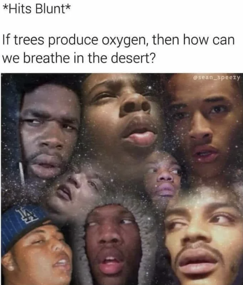 photo caption - Hits Blunt If trees produce oxygen, then how can we breathe in the desert?