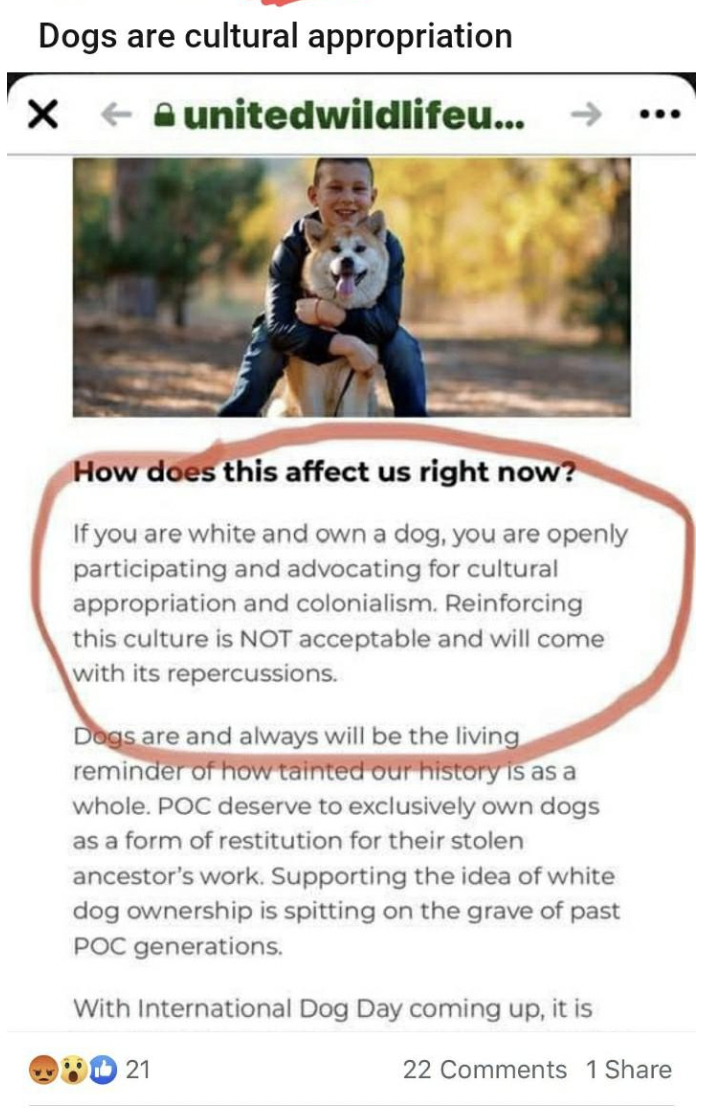 Confidently Incorrect - photo caption - Dogs are cultural appropriation