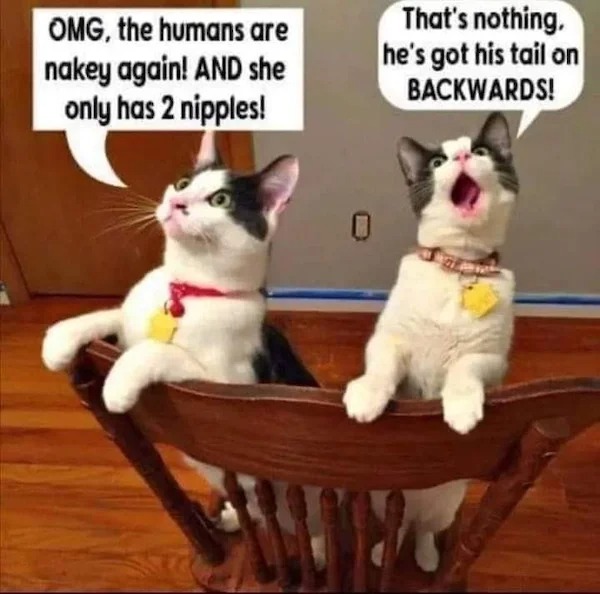 he has his tail on backwards - Omg, the humans are nakey again! And she only has 2 nipples! That's nothing. he's got his tail on Backwards!