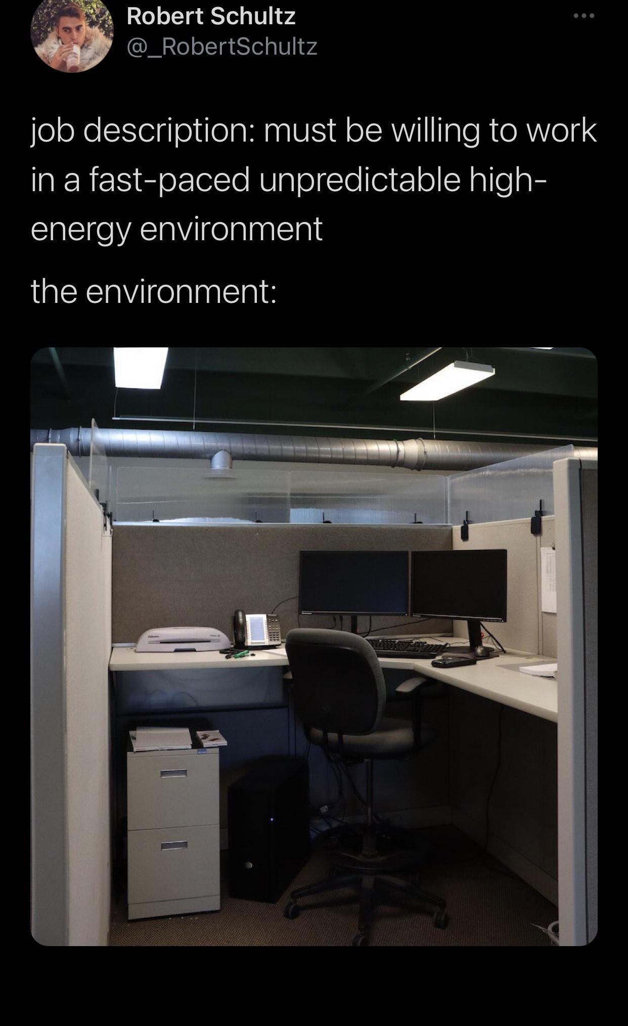 funny memes and pics - office culture meme - Robert Schultz job description must be willing to work in a fastpaced unpredictable high energy environment the environment