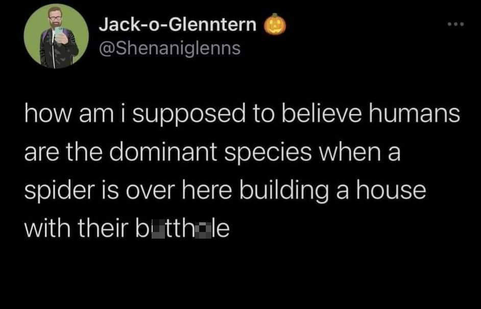 funny memes and pics - atmosphere - JackoGlenntern how am i supposed to believe humans are the dominant species when a spider is over here building a house with their butthole