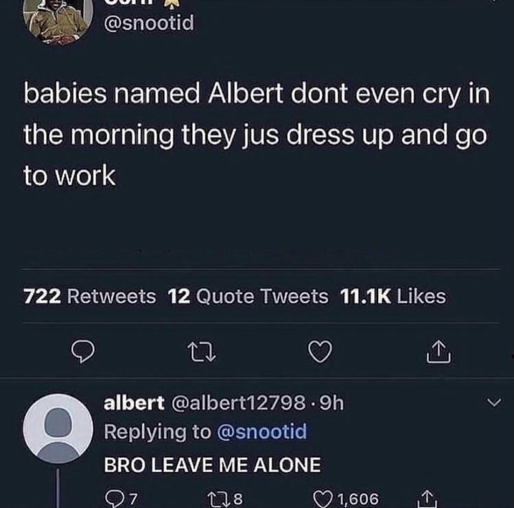 funny memes and pics - babies named albert dont even cry - babies named Albert dont even cry in the morning they jus dress up and go to work 722 12 Quote Tweets albert .9h Bro Leave Me Alone 178 7 1,606 L