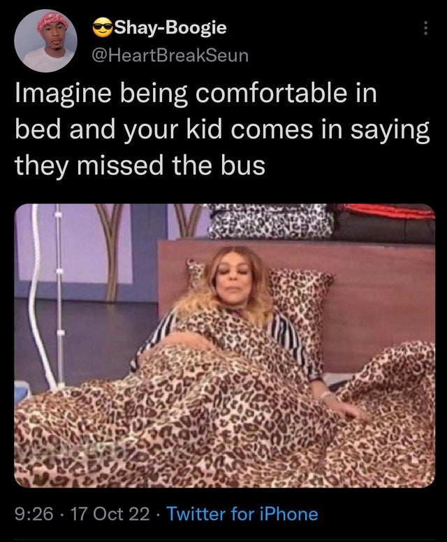 funny memes and pics - photo caption - ShayBoogie Imagine being comfortable in bed and your kid comes in saying they missed the bus 17 Oct 22 Twitter for iPhone