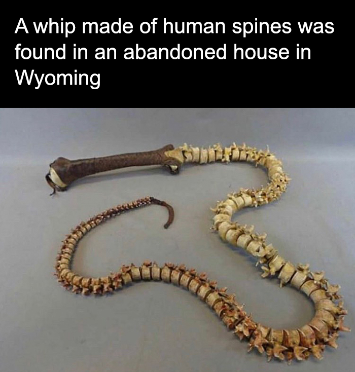 fascinating facts - jewellery - A whip made of human spines was found in an abandoned house in Wyoming