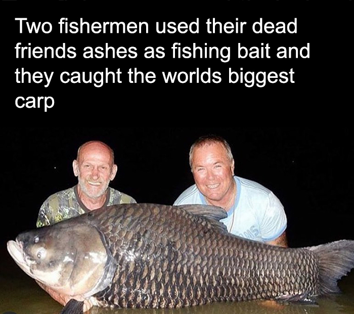 fascinating facts - wtf fun fishing facts - Two fishermen used their dead friends ashes as fishing bait and they caught the worlds biggest carp