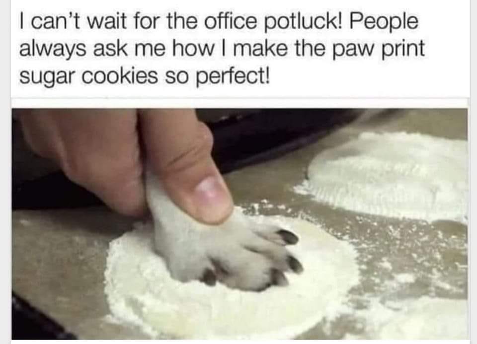 funny pics and memes - paw print sugar cookies meme - I can't wait for the office potluck! People always ask me how I make the paw print sugar cookies so perfect!