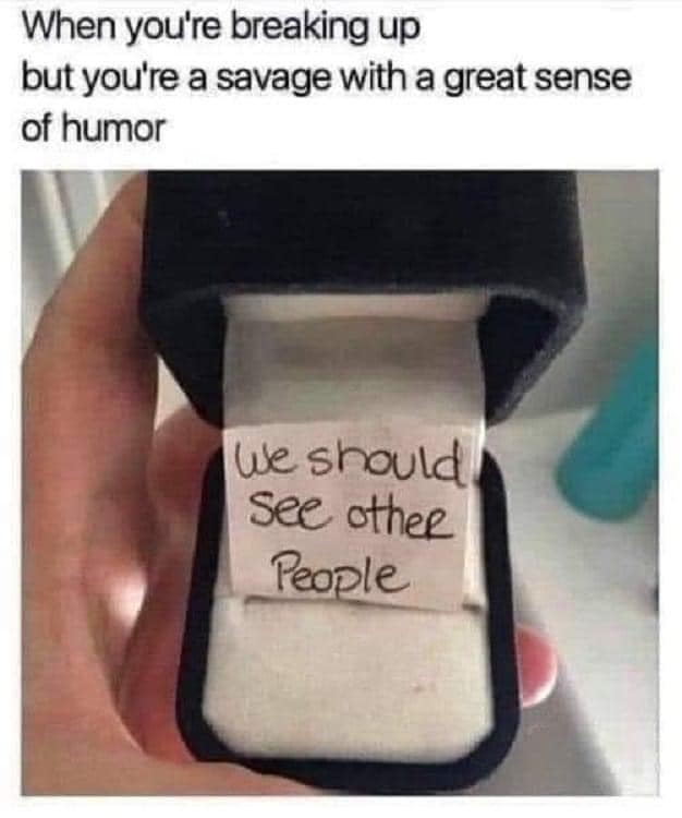 funny pics and memes - When you're breaking up but you're a savage with a great sense of humor We should See other People