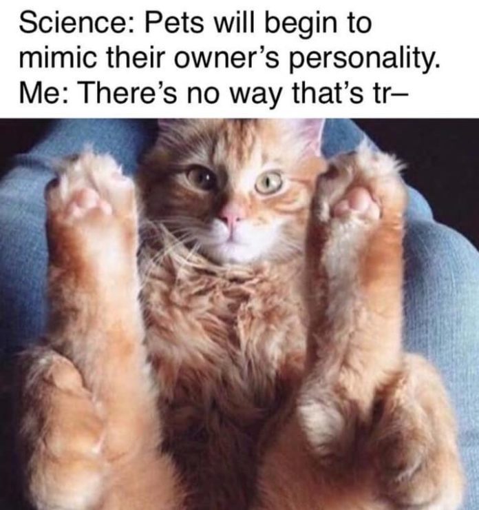 meme sex joke - Science Pets will begin to mimic their owner's personality. Me There's no way that's tr