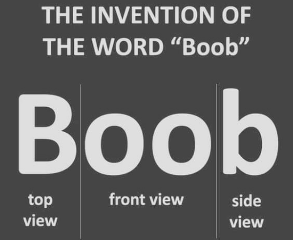 function of economic system - The Invention Of The Word "Boob" Boob front view top view side view
