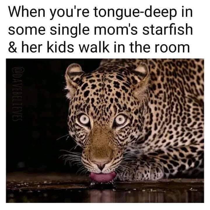 leopard - When you're tonguedeep in some single mom's starfish & her kids walk in the room