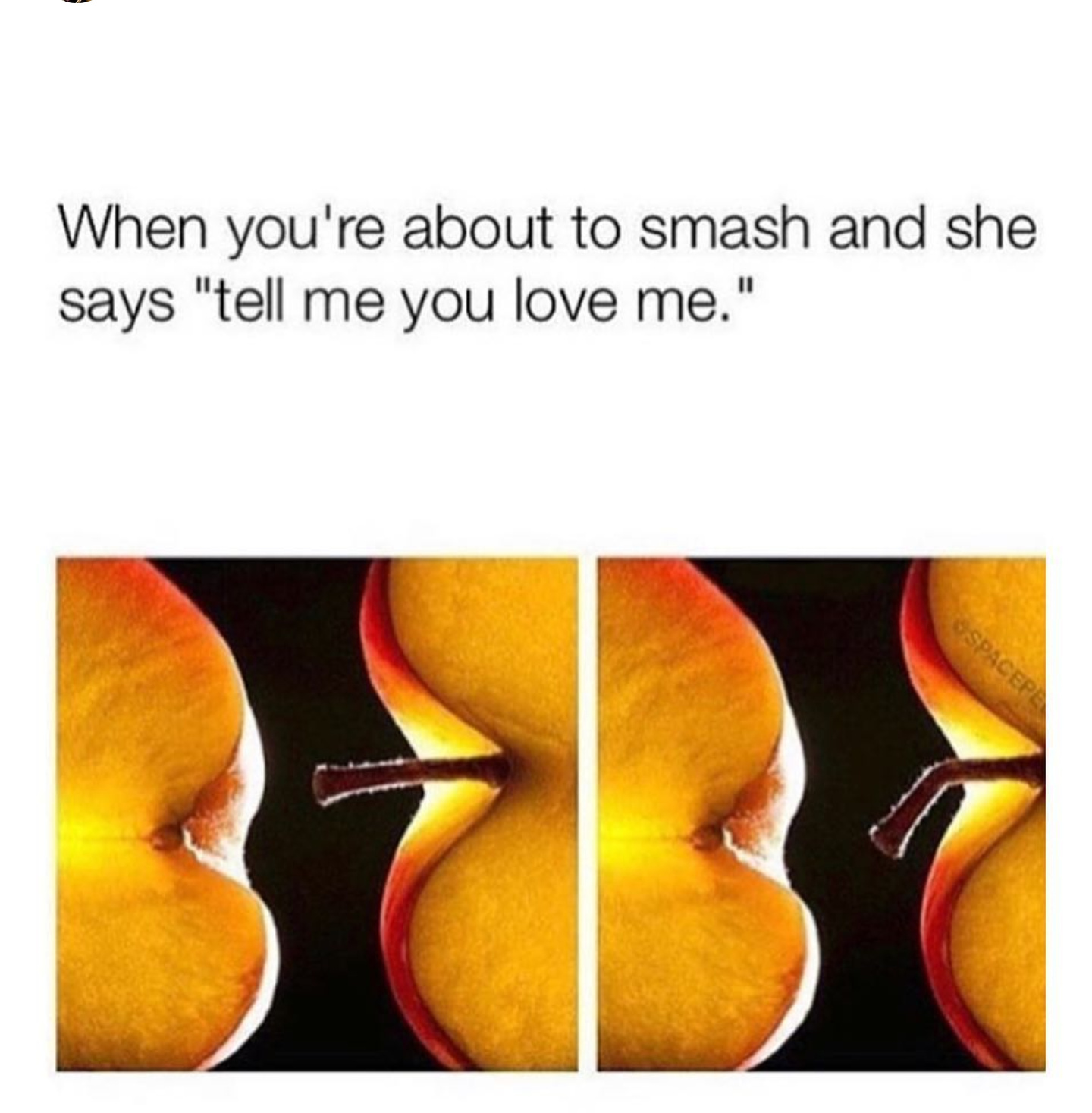peach sex meme - When you're about to smash and she says "tell me you love me." Spacepe