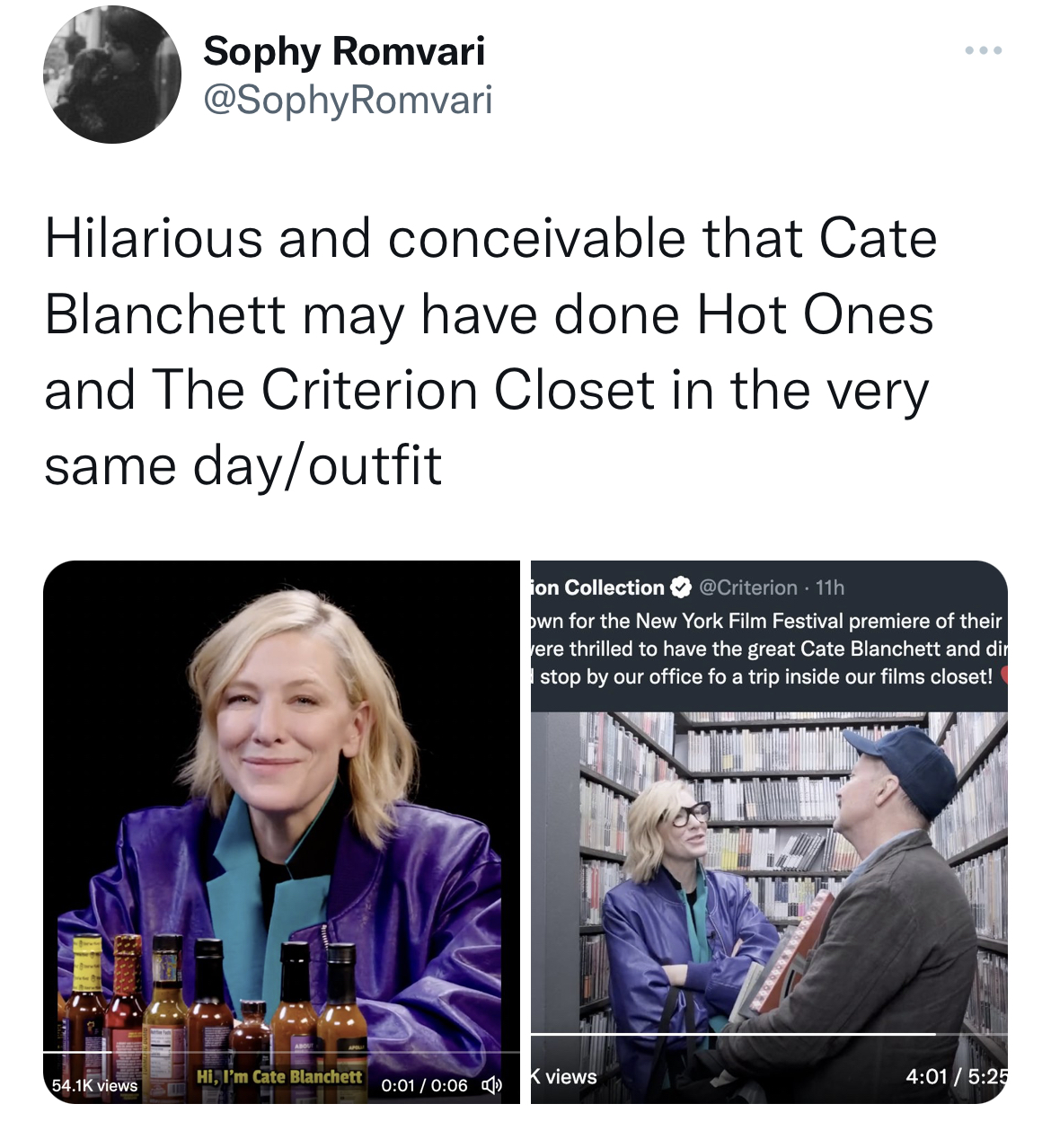 Tweets Roasting Celebs - media - Sophy Romvari Hilarious and conceivable that Cate Blanchett may have done Hot Ones and The Criterion Closet in the very same dayoutfit views Hi I'm Cate Blanchett on Collection 11h own for the New York Film Festival premie