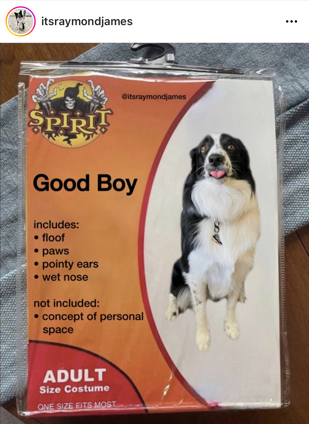 Costume Memes - spirit halloween - itsraymondjames Spirit Good Boy includes floof paws pointy ears wet nose not included concept of personal space Adult Size Costume One Size Fits Most